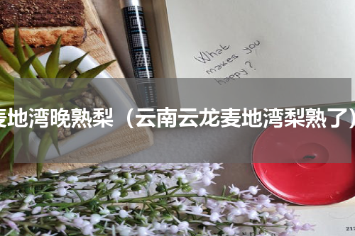 麦地湾晚熟梨（云南云龙麦地湾梨熟了）