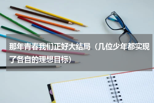 那年青春我们正好大结局（几位少年都实现了各自的理想目标）