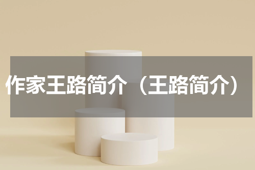作家王路简介（王路简介）