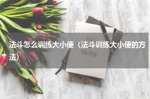 法斗怎么训练大小便（法斗训练大小便的方法）