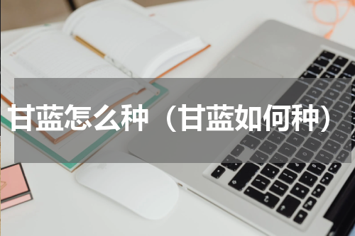 甘蓝怎么种（甘蓝如何种）