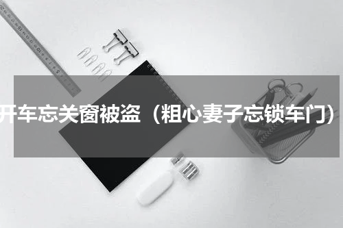 开车忘关窗被盗（粗心妻子忘锁车门）