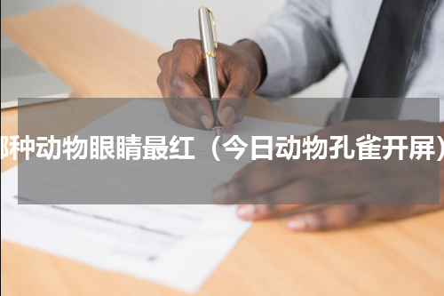 哪种动物眼睛最红（今日动物孔雀开屏）
