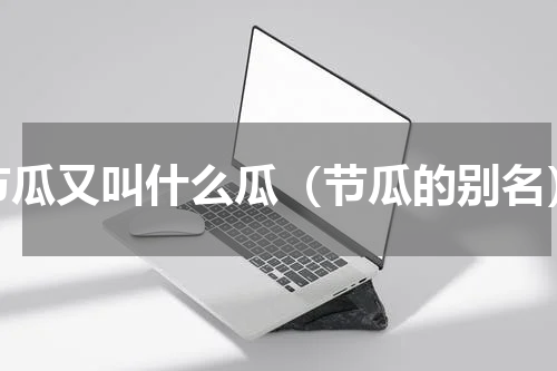 节瓜又叫什么瓜（节瓜的别名）