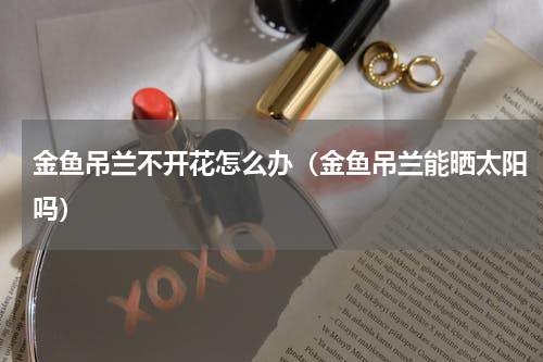 金鱼吊兰不开花怎么办（金鱼吊兰能晒太阳吗）