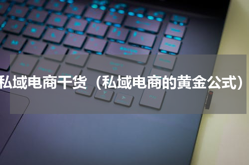 私域电商干货（私域电商的黄金公式）