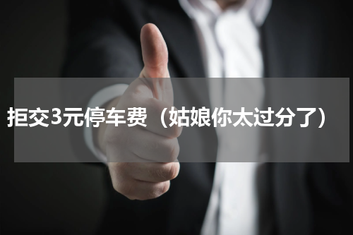拒交3元停车费（姑娘你太过分了）