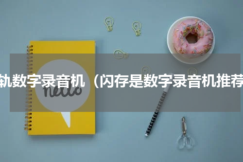 多轨数字录音机（闪存是数字录音机推荐）