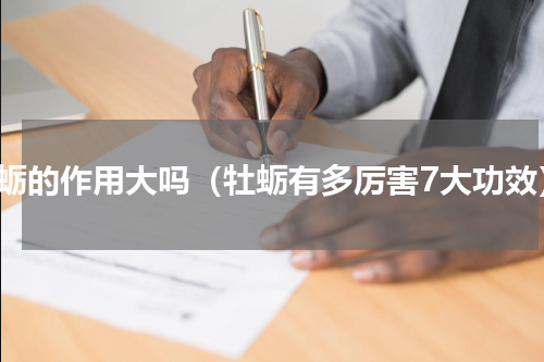 牡蛎的作用大吗（牡蛎有多厉害7大功效）