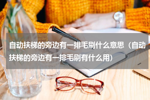 自动扶梯的旁边有一排毛刷什么意思（自动扶梯的旁边有一排毛刷有什么用）
