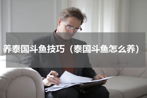 养泰国斗鱼技巧（泰国斗鱼怎么养）