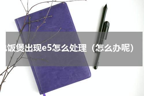 电饭煲出现e5怎么处理（怎么办呢）