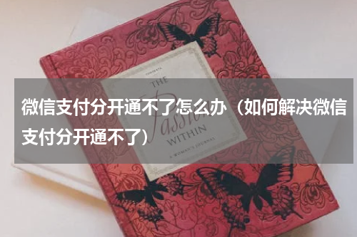 微信支付分开通不了怎么办（如何解决微信支付分开通不了）