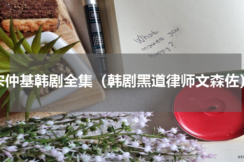 宋仲基韩剧全集（韩剧黑道律师文森佐）