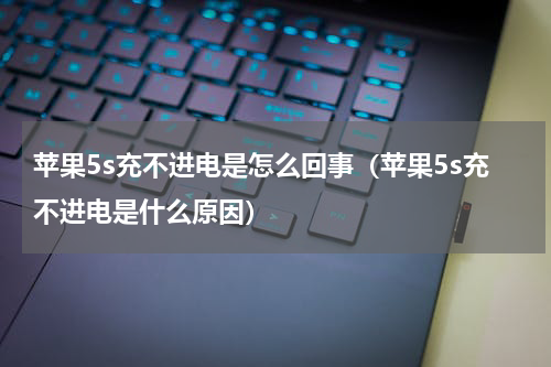 苹果5s充不进电是怎么回事（苹果5s充不进电是什么原因）