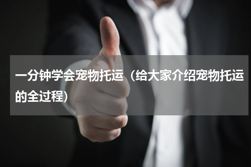 一分钟学会宠物托运（给大家介绍宠物托运的全过程）