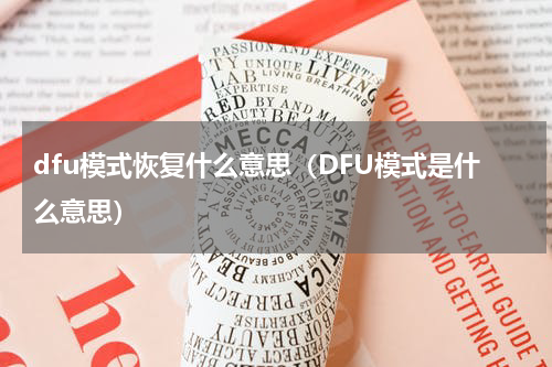 dfu模式恢复什么意思（DFU模式是什么意思）