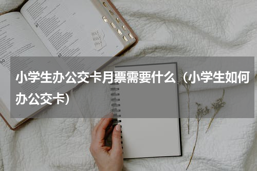 小学生办公交卡月票需要什么（小学生如何办公交卡）