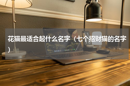 花猫最适合起什么名字（七个招财猫的名字）