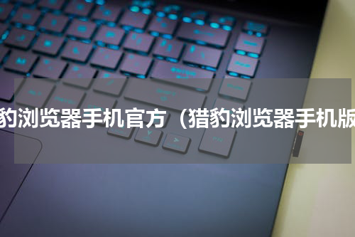 猎豹浏览器手机官方（猎豹浏览器手机版）