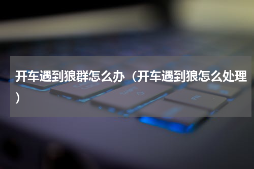 开车遇到狼群怎么办（开车遇到狼怎么处理）