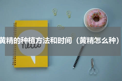 黄精的种植方法和时间（黄精怎么种）