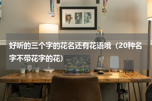 好听的三个字的花名还有花语哦（20种名字不带花字的花）