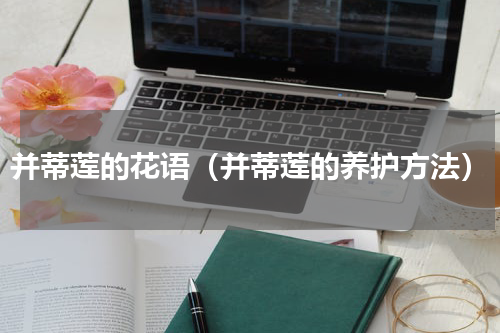并蒂莲的花语（并蒂莲的养护方法）