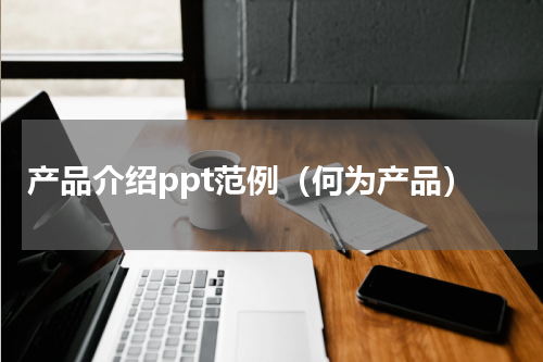 产品介绍ppt范例（何为产品）