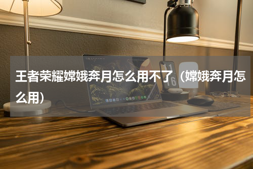 王者荣耀嫦娥奔月怎么用不了（嫦娥奔月怎么用）