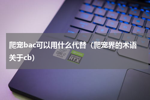爬宠bac可以用什么代替（爬宠界的术语关于cb）