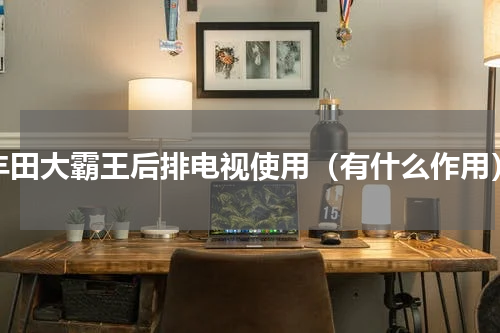丰田大霸王后排电视使用（有什么作用）