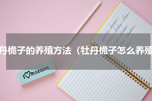 牡丹桅子的养殖方法（牡丹桅子怎么养殖）
