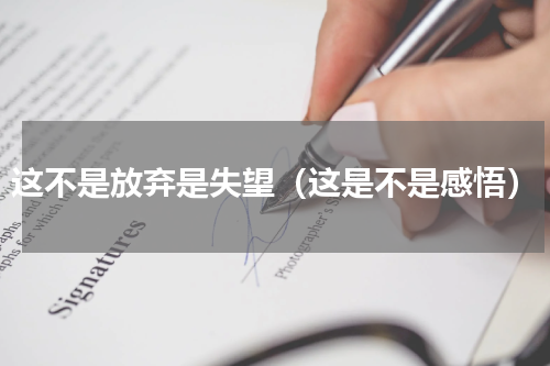 这不是放弃是失望（这是不是感悟）