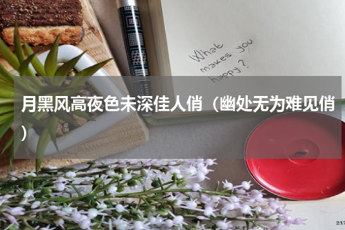 月黑风高夜色未深佳人俏（幽处无为难见俏）