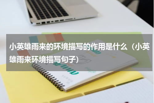 小英雄雨来的环境描写的作用是什么（小英雄雨来环境描写句子）