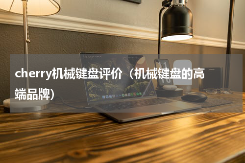 cherry机械键盘评价（机械键盘的高端品牌）