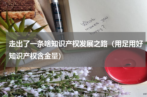 走出了一条啥知识产权发展之路（用足用好知识产权含金量）