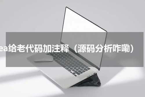 idea给老代码加注释（源码分析咋嘞）