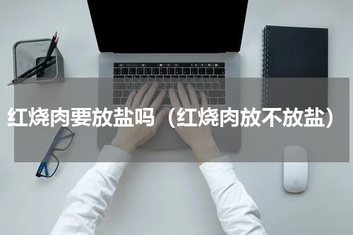 红烧肉要放盐吗（红烧肉放不放盐）