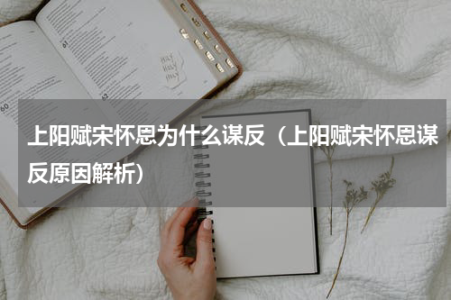 上阳赋宋怀恩为什么谋反（上阳赋宋怀恩谋反原因解析）