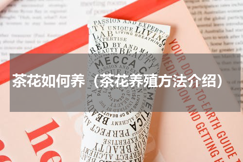 茶花如何养（茶花养殖方法介绍）