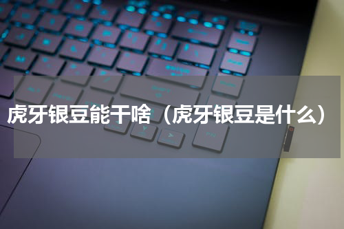 虎牙银豆能干啥（虎牙银豆是什么）