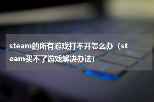 steam的所有游戏打不开怎么办（steam买不了游戏解决办法）