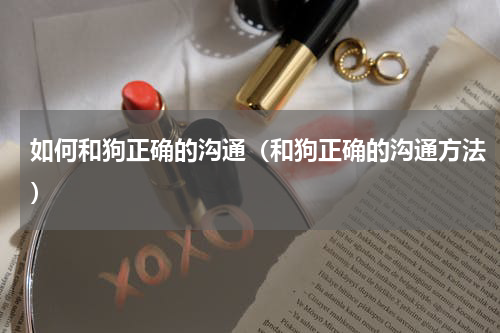 如何和狗正确的沟通（和狗正确的沟通方法）