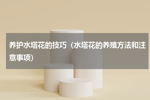养护水塔花的技巧（水塔花的养殖方法和注意事项）