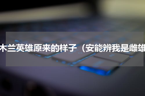 花木兰英雄原来的样子（安能辨我是雌雄）