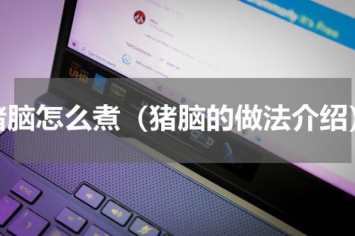 猪脑怎么煮（猪脑的做法介绍）
