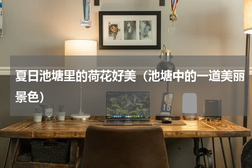 夏日池塘里的荷花好美（池塘中的一道美丽景色）