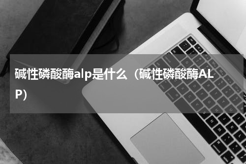 碱性磷酸酶alp是什么（碱性磷酸酶ALP）